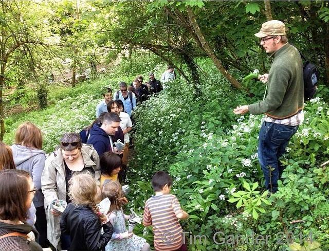 Dave Hamilton - foraging course